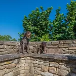 Villa Ca' Gulino - - Con Minipiscina In Borgo Antico Urbino