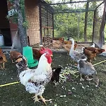 Villa Ca' Gulino - - Con Minipiscina In Borgo Antico *