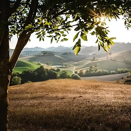 Villa Ca' Gulino - - Con Minipiscina In Borgo Antico Urbino