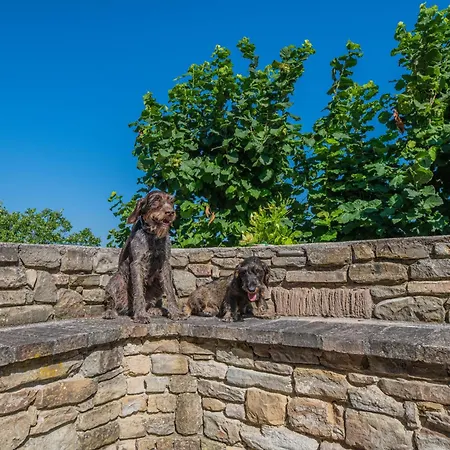 Ca' Gulino - - Con Minipiscina In Borgo Antico