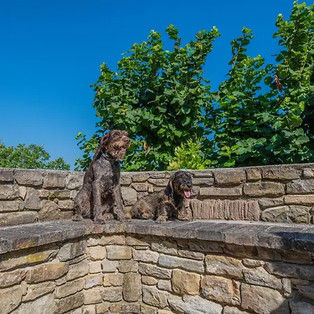 Villa Ca' Gulino - - Con Minipiscina In Borgo Antico Urbino