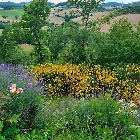 Ca' Gulino - - Con Minipiscina In Borgo Antico Villa *