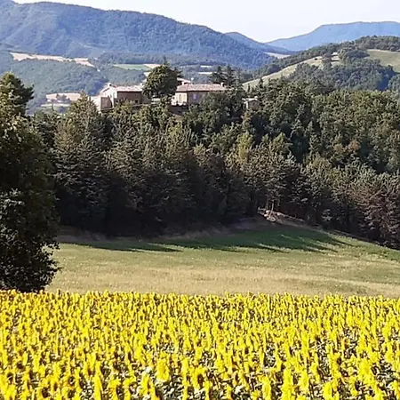 Ca' Gulino - - Con Minipiscina In Borgo Antico *