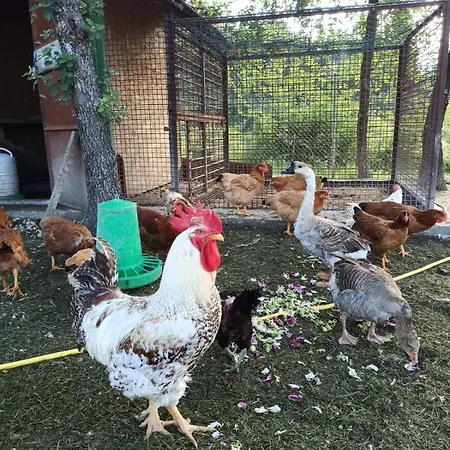 Villa Ca' Gulino - - Con Minipiscina In Borgo Antico *